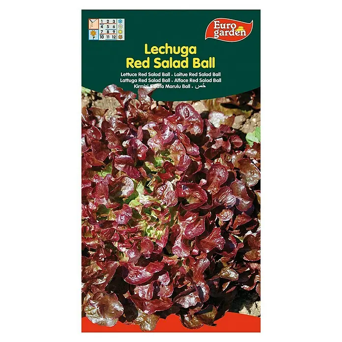 Euro Garden Semillas de lechuga Hoja de roble - Cosecha: Noviembre, 5 g - Vista frontal
