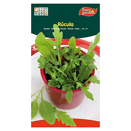 Euro Garden  Semillas de vegetales Rúcula sativa