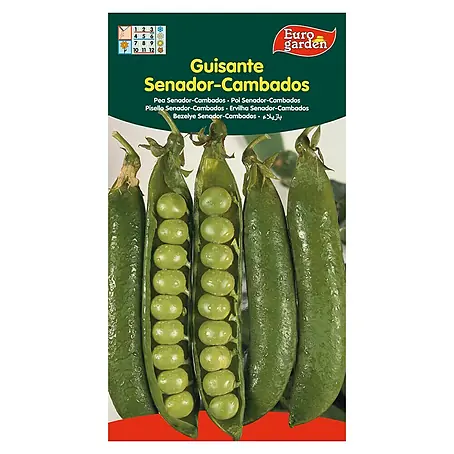 Euro Garden  Semillas de vegetales Guisante Senador Cambados