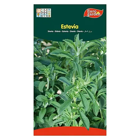 Euro Garden  Semillas de vegetales Stevia