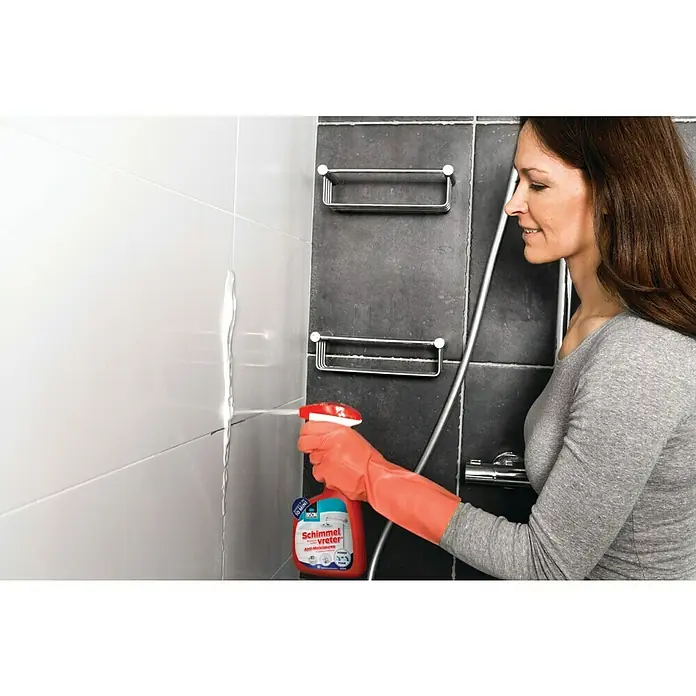 Bison Schimmelspray 500 ml - 500 ml - Toepassingsvoorbeeld