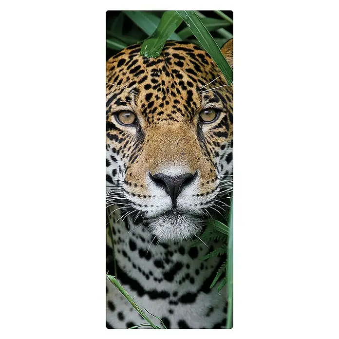 SanDesign Handmuster - 17,5 cm x 7 cm x 3 mm, Eye of the Tiger - Draufsicht