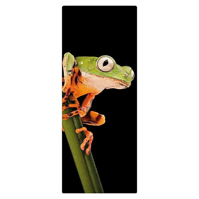 SanDesign Handmuster - 17,5 cm x 7 cm x 3 mm, Frog - Draufsicht
