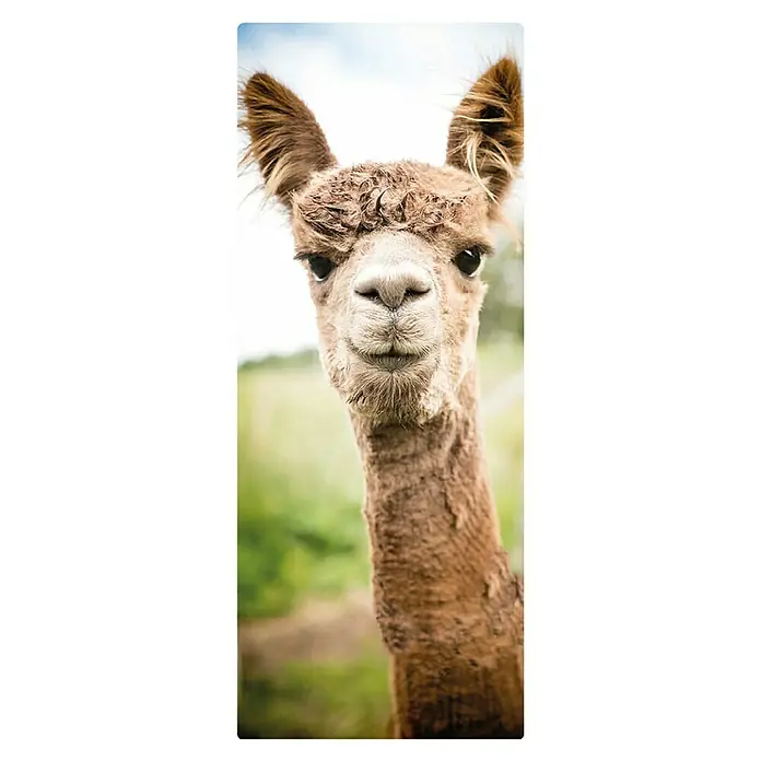 SanDesign Handmuster - 17,5 cm x 7 cm x 3 mm, Alpaca - Draufsicht
