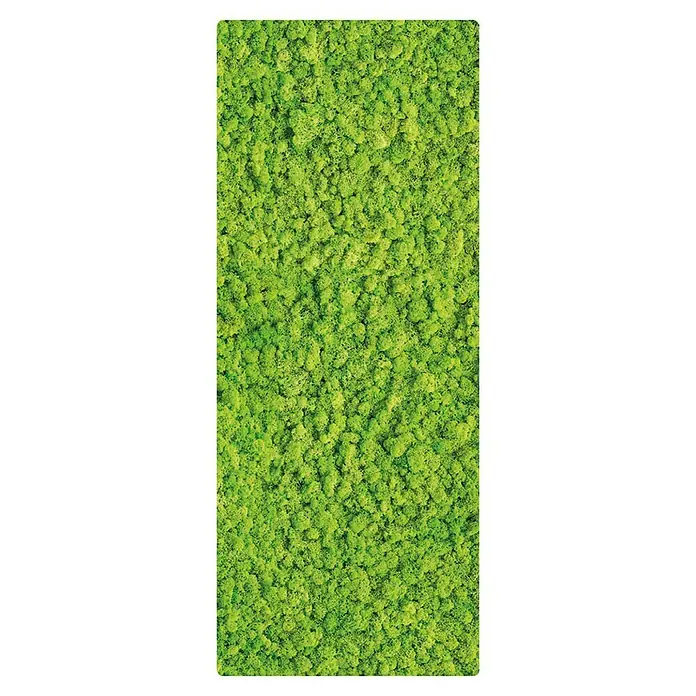 SanDesign Handmuster Moos - 17,5 cm x 7 cm x 8 mm, Bäume & Pflanzen - Draufsicht