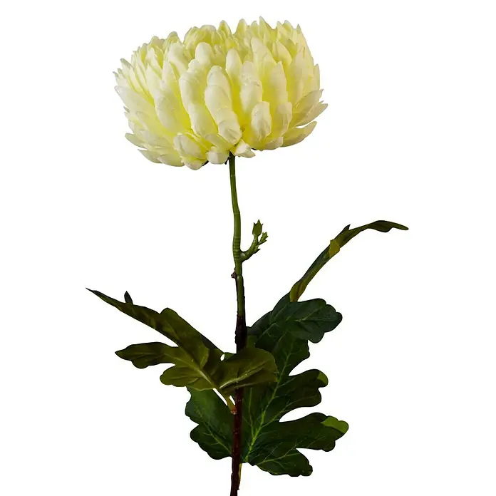 Umjetni cvijet - 68 cm, Bijele boje - Pogled sprijeda