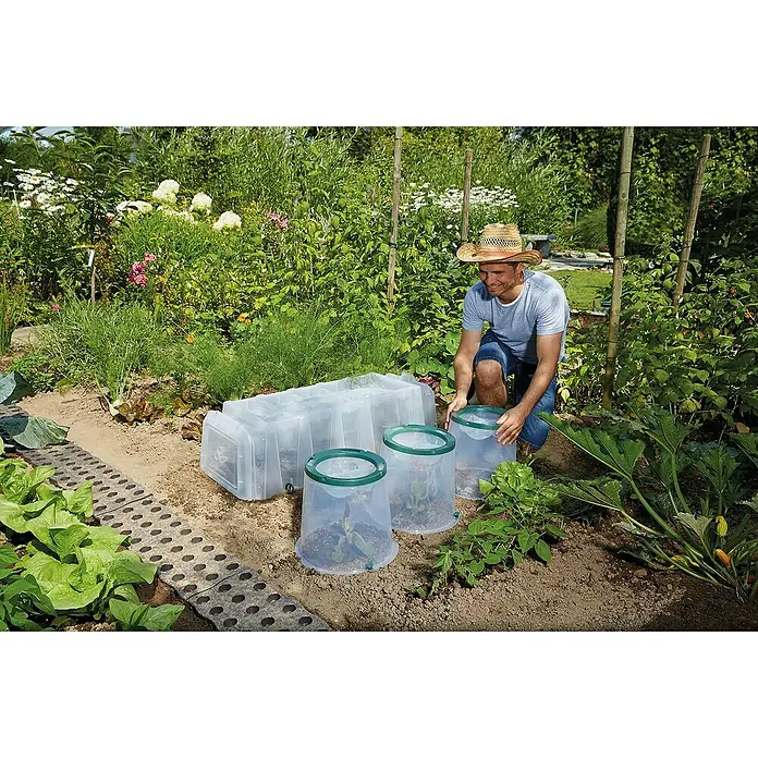 Garantia Pflanzglocke SUNNY - Höhe: 30 cm, Kunststoff - Anwendungsbeispiel