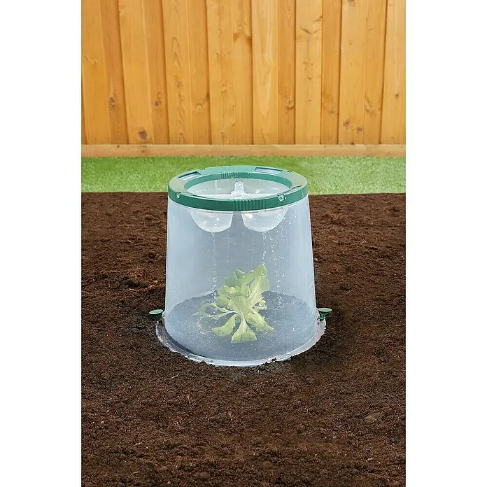 Garantia Pflanzglocke SUNNY - Höhe: 30 cm, Kunststoff - Anwendungsbeispiel