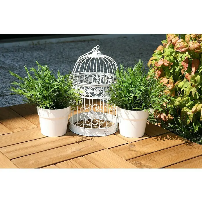 Klickfliese Smartdeck - Kiefer, Strukturiert, 30 x 30 x 2,5 cm, 6 Stk. - Stimmungsaufnahme
