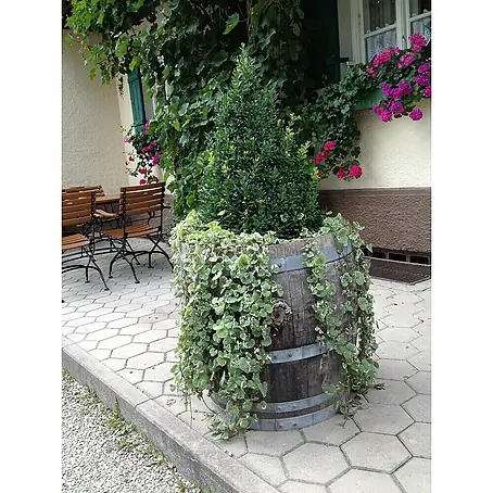 Weinfass
