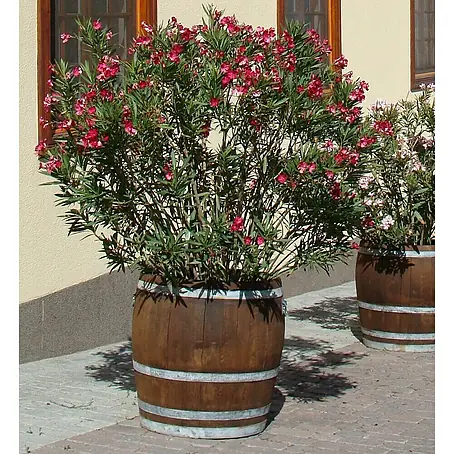 Weinfass