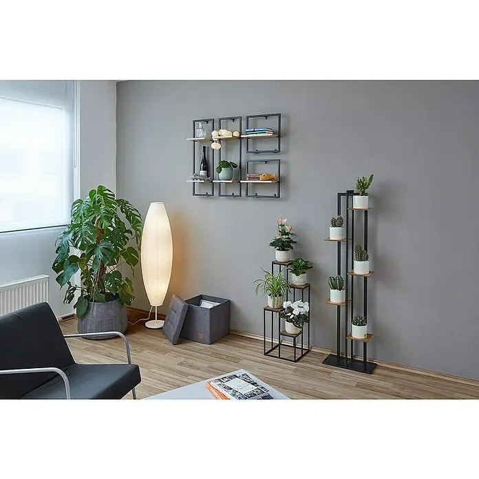 Phönix Wandregal Soho - L x B x H: 20 x 54 x 35 cm, Anzahl Böden: 1 Stk. - Stimmungsaufnahme