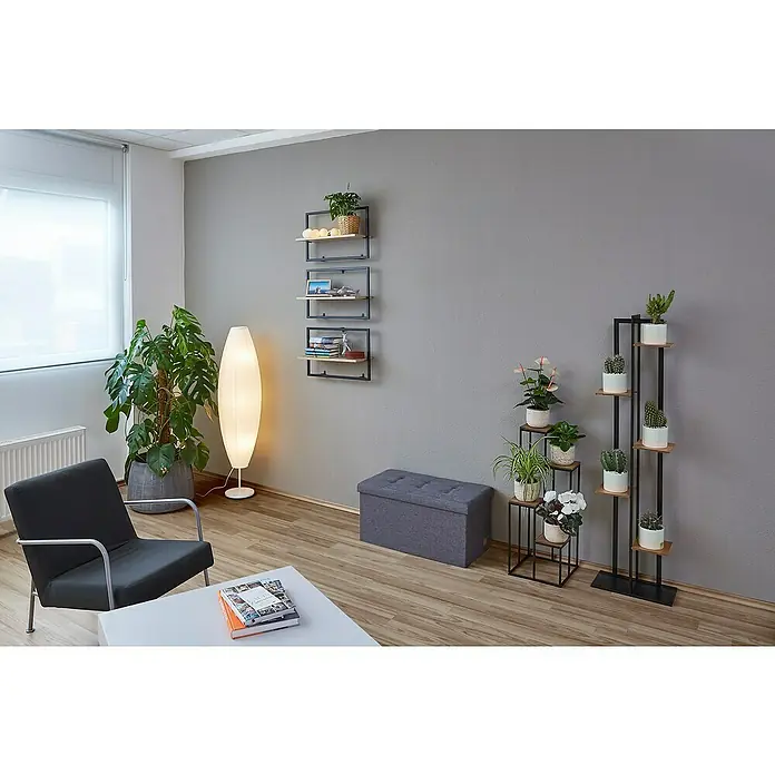 Phönix Wandregal Soho - L x B x H: 20 x 54 x 35 cm, Anzahl Böden: 1 Stk. - Stimmungsaufnahme