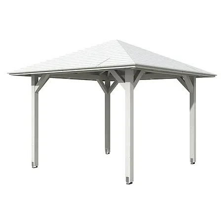 Skan Holz  Pavillon Cannes 1