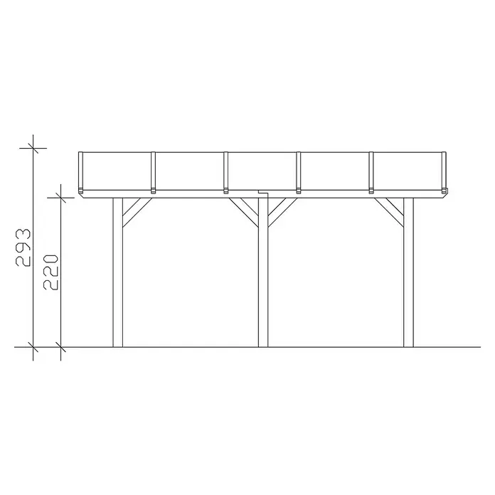 Skan Holz Carport Franken - B x T: 376 x 541 cm, Einfahrtshöhe: 220 cm, Natur - Skizze