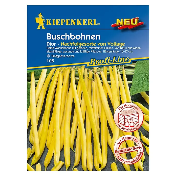 Kiepenkerl Profi-Line Gemüsesamen Buschbohne - Dior, Phaseolus vulgaris, Erntezeit: Juli - Draufsicht