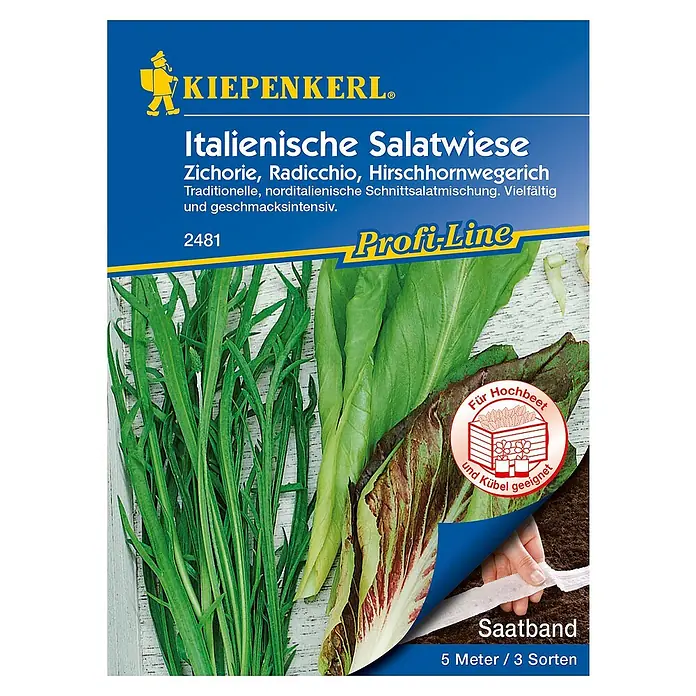 Kiepenkerl Profi-Line Salatsamenmischung Italienische Salatwiese - Verschiedene Sorten, Erntezeit: Juni - Draufsicht