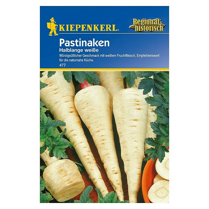 Kiepenkerl Gemüsesamen Pastinake - Pastinaca sativa, Erntezeit: Oktober - Draufsicht
