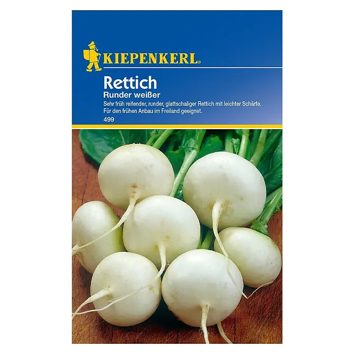 Kiepenkerl Gemüsesamen Rettich - Raphanus sativus, Runder weißer - Draufsicht