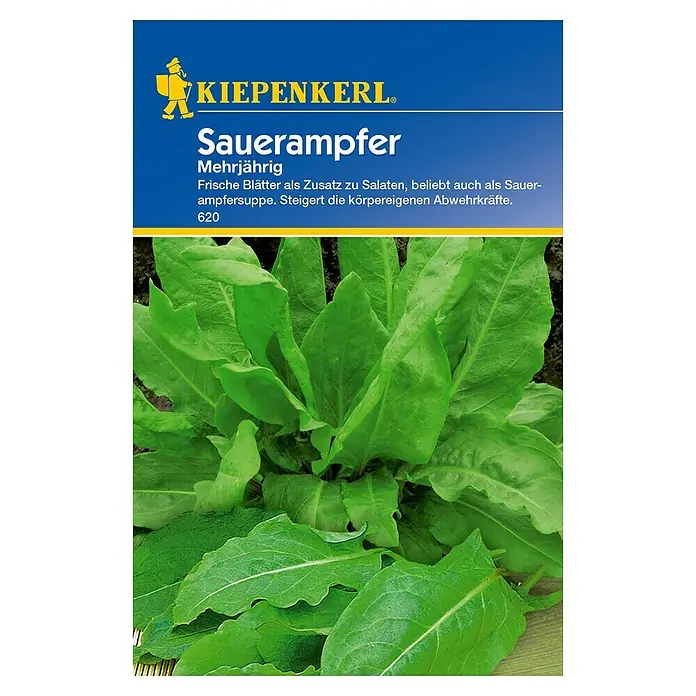 Kiepenkerl Gemüsesamen Sauerampfer - Rumex acetosa, Erntezeit: Juni - Draufsicht