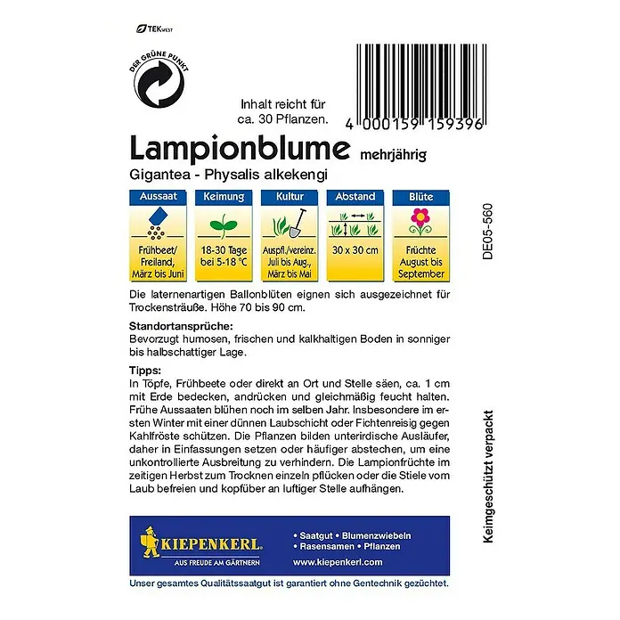 Kiepenkerl Blumensamen Lampionblume - Physalis alkekengi var. franchetii, Weiß - Rückansicht