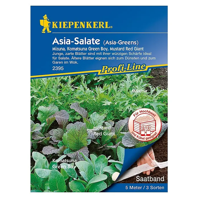 Kiepenkerl Profi-Line Salatsamenmischung Asia-Salate - Verschiedene Sorten, Erntezeit: Mai - Draufsicht