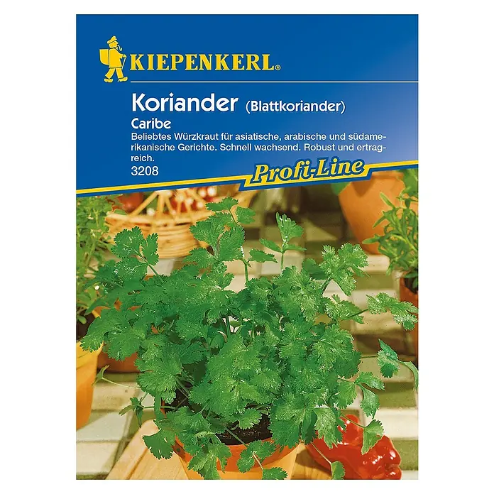 Kiepenkerl Profi-Line Kräutersamen Koriander Caribe - Coriandrum sativum, Saatzeit: April, Erntezeit: Mai - Draufsicht