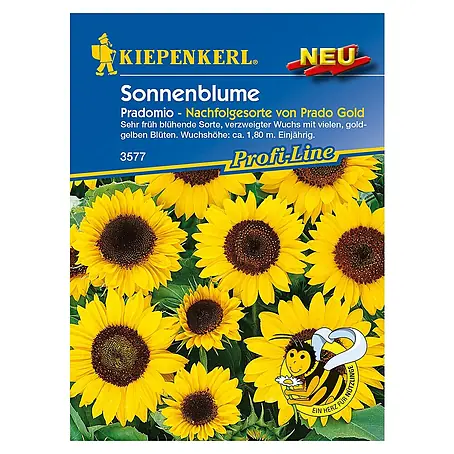 Kiepenkerl Profi-Line Blumensamen Sonnenblume