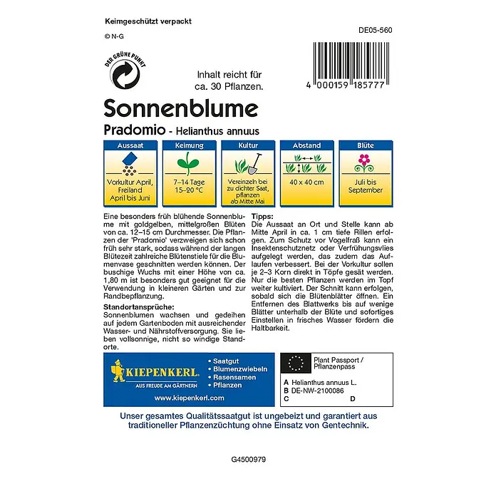 Kiepenkerl Profi-Line Blumensamen Sonnenblume - Helianthus annuus, Pradomio, Blütezeit: Juli - Rückansicht