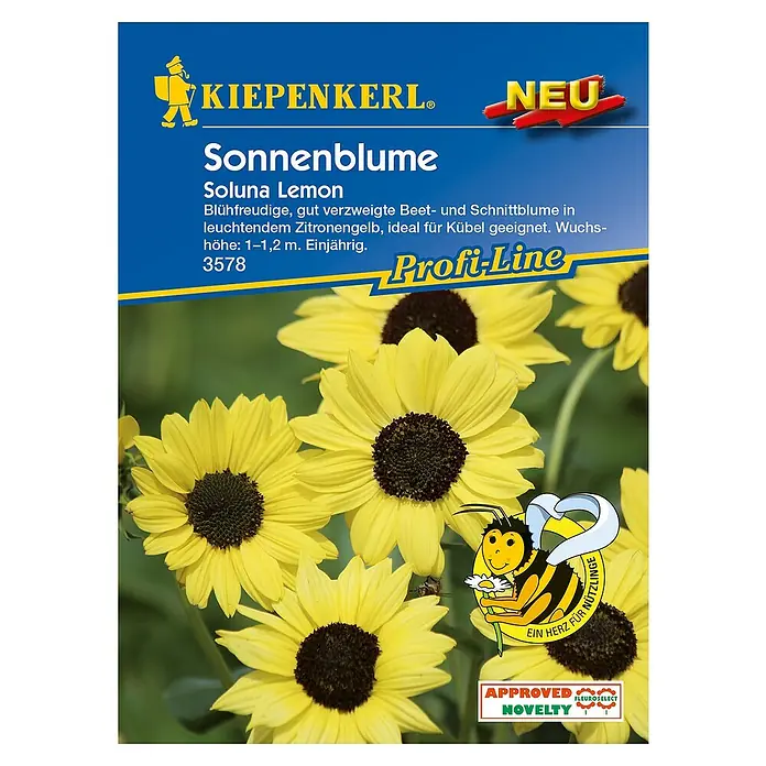 Kiepenkerl Blumensamen Sonnenblume - Helianthus debilis, Soluna Lemon, Blütezeit: Juli - Draufsicht