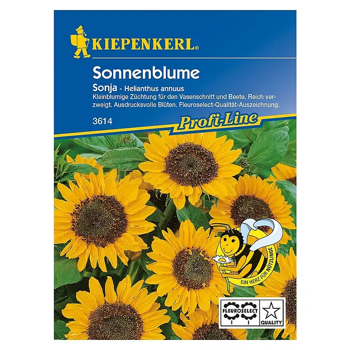 Kiepenkerl Profi-Line Blumensamen Sonnenblume - Helianthus annuus, Sonja, Blütezeit: August - Draufsicht