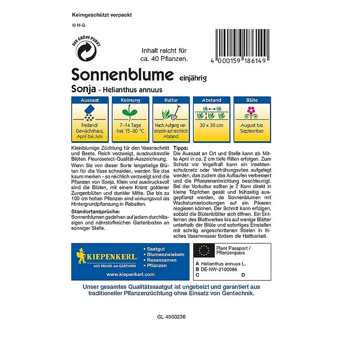 Kiepenkerl Profi-Line Blumensamen Sonnenblume - Helianthus annuus, Sonja, Blütezeit: August - Rückansicht