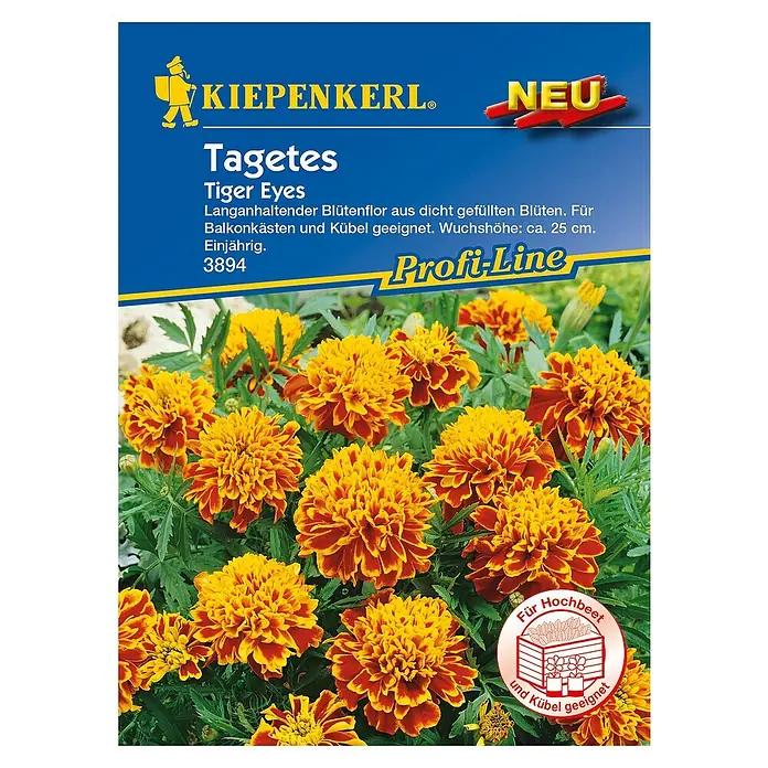 Kiepenkerl Profi-Line Blumensamen Studentenblume - Tagetes patula, Tiger Eyes, Blütezeit: Juni - Draufsicht