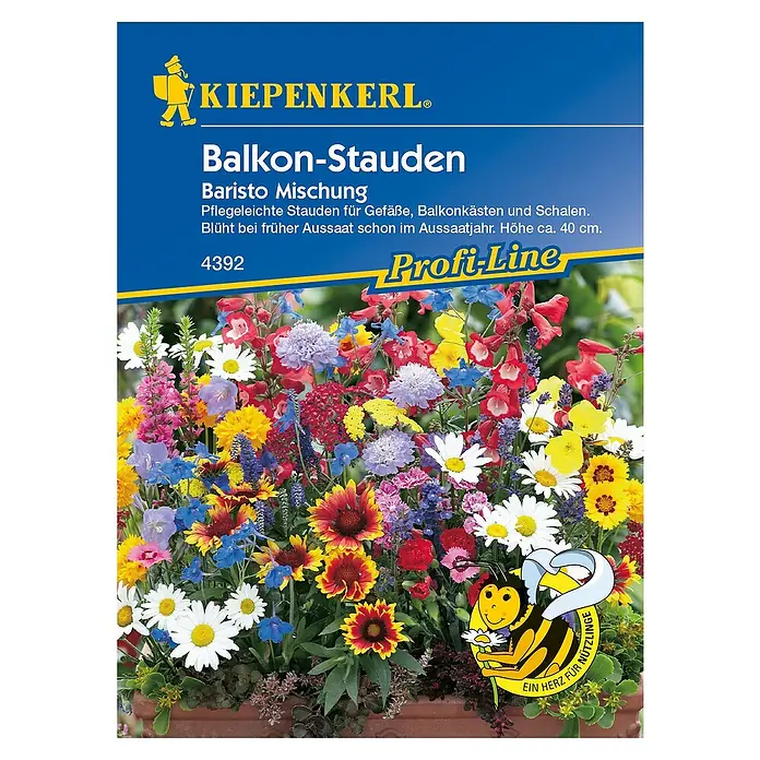 Kiepenkerl Profi-Line Blumensamen Balkon-Stauden Baristo Mischung - Verschiedene Sorten, Blütezeit: April - Draufsicht
