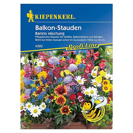 Kiepenkerl Profi-Line Blumensamen Balkon-Stauden Baristo Mischung