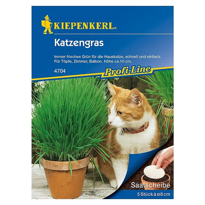 Kiepenkerl Profi-Line Saatgut Katzengras Saatscheibe - Verschiedene Sorten - Draufsicht