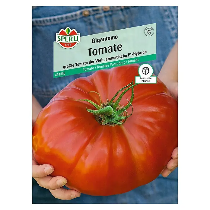 Sperli Gemüsesamen Tomate - Gigantomo, Solanum lycopersicum, Erntezeit: Juli - Draufsicht
