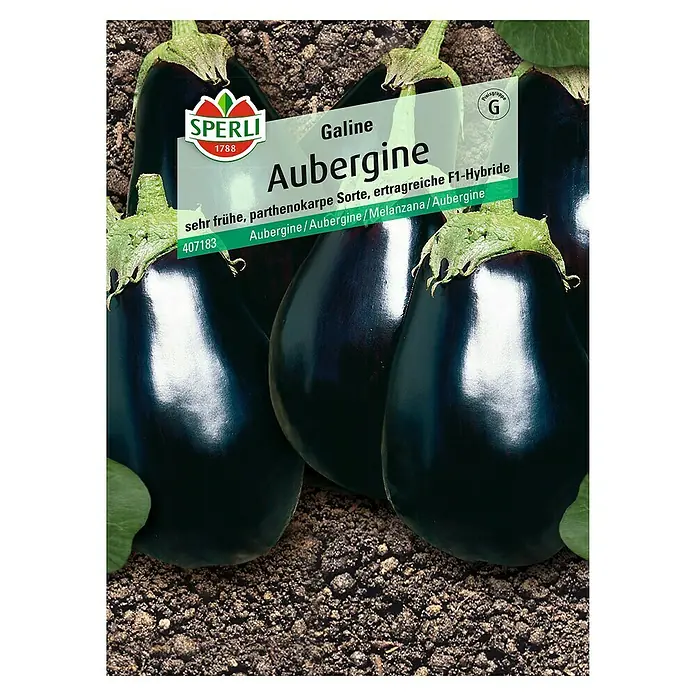 Sperli Gemüsesamen Aubergine Galine - Solanum melongena, Erntezeit: Juli - Draufsicht