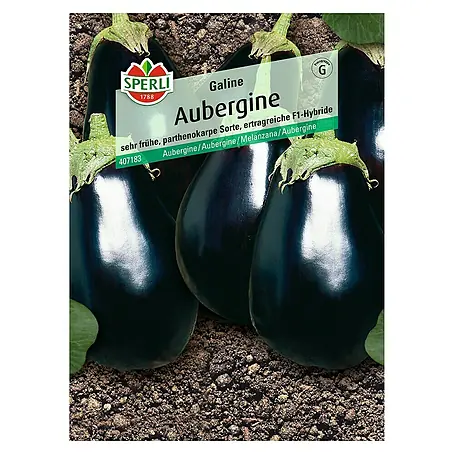 Sperli  Gemüsesamen Aubergine Galine