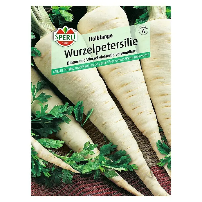 Sperli Gemüsesamen Wurzelpetersilie - Petroselinum crispum, Erntezeit: Juli - Draufsicht