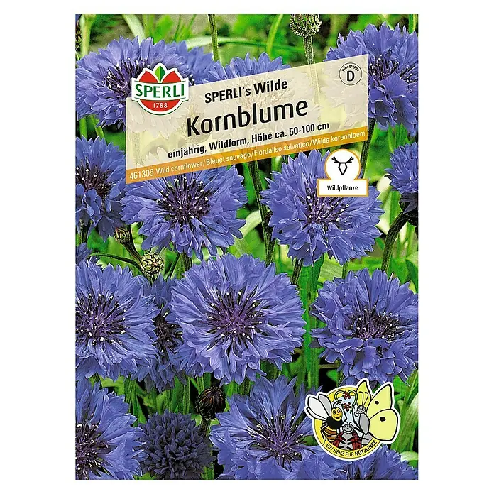 Sperli Blumensamen Wilde Kornblume - Centaurea cyanus, Blau - Draufsicht