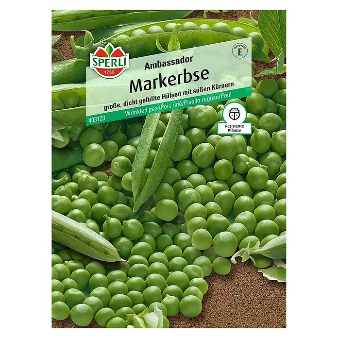 Sperli Gemüsesamen Markerbse - Pisum sativum, Erntezeit: Juni - Draufsicht