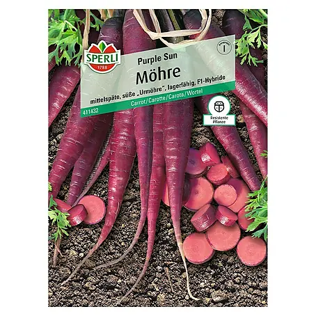 Sperli  Gemüsesamen Möhre Purple Sun