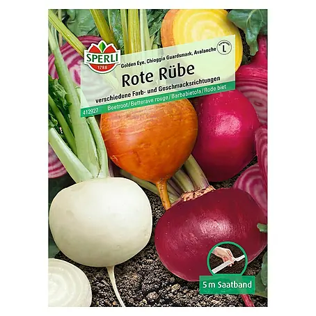 Sperli  Gemüsesamen Rote Rübe