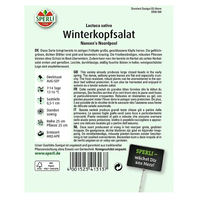 Sperli Salatsamen Winterkopfsalat - Lactuca sativa, Erntezeit: März - Rückansicht