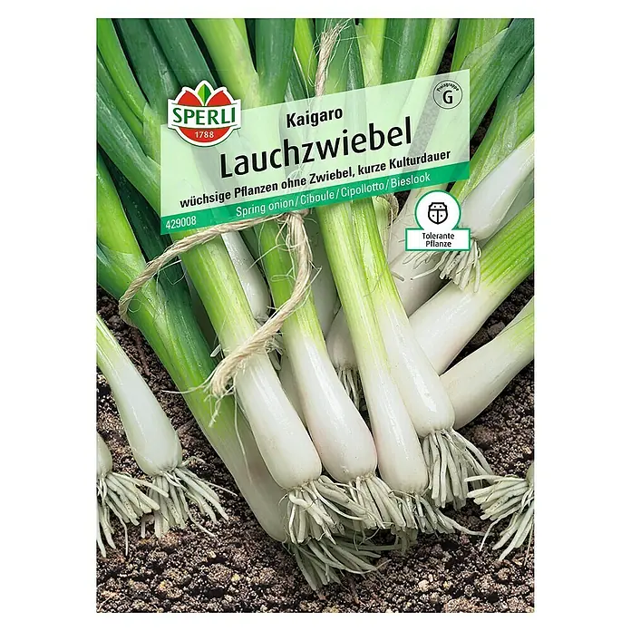 Sperli Gemüsesamen Lauchzwiebel Kaigaro - Allium fistulosum, Erntezeit: Mai - Draufsicht