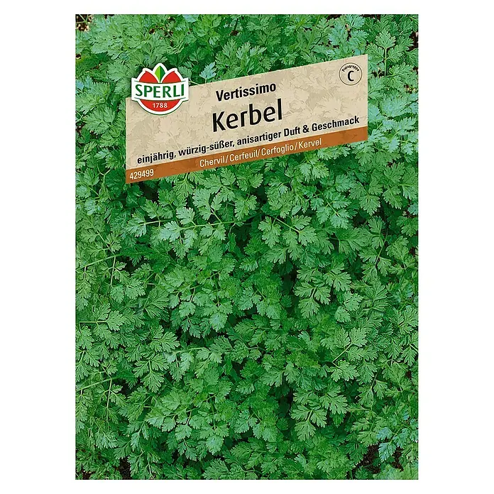 Sperli Kräutersamen Kerbel Vertissimo - Anthriscus cerefolium, Saatzeit: März, Erntezeit: Mai - Draufsicht