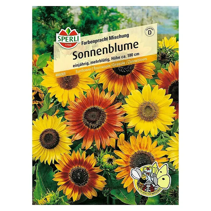 Sperli Blumensamen Sonnenblume - Farbenpracht Mix, Helianthus annuus, Blütezeit: August - Draufsicht