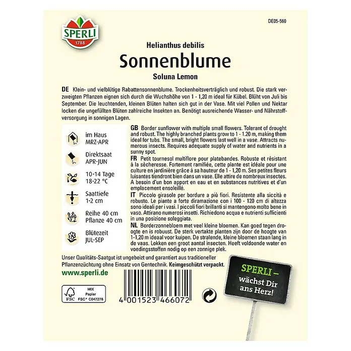 Sperli Blumensamen Sonnenblume - Soluna Lemon, Helianthus debilis, Blütezeit: Juli - Rückansicht