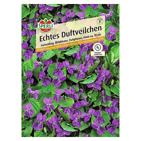 Sperli  Blumensamen Echtes Duftveilchen
